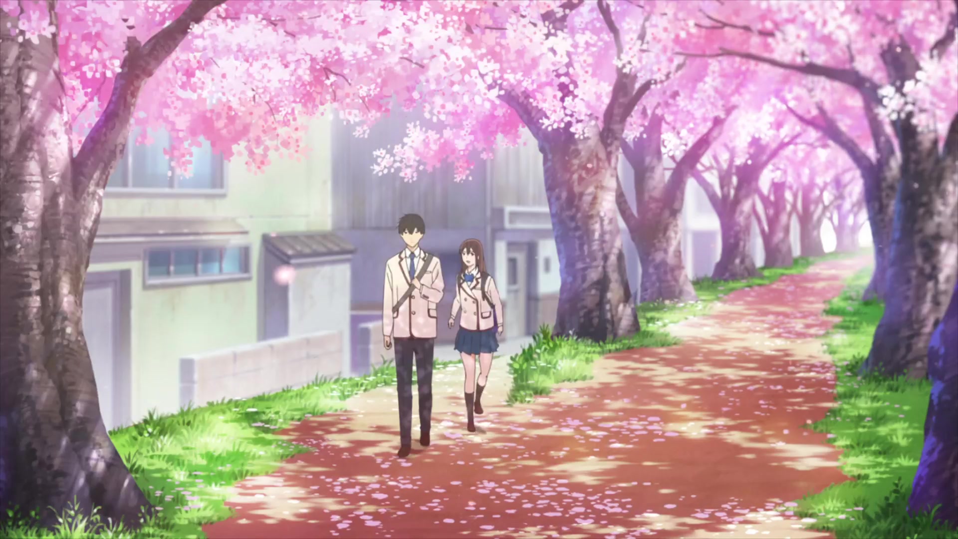 [Tsukyio Editing Resources] I Want to Eat Your Pancreas Raw Clips (945) (tsukyio.com).mp4